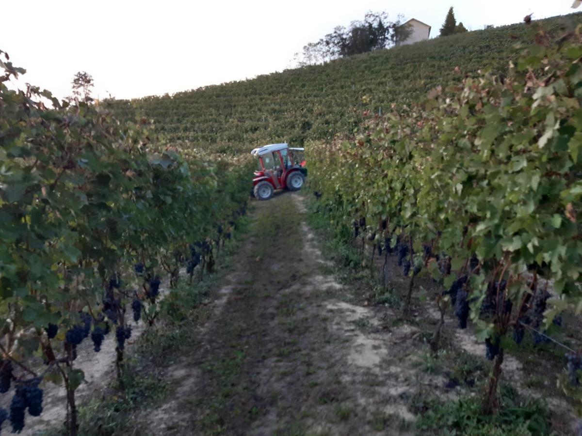 Locanda San Lorenzo Roddino Luaran gambar